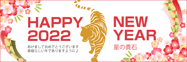 新年明けましておめでとうございます