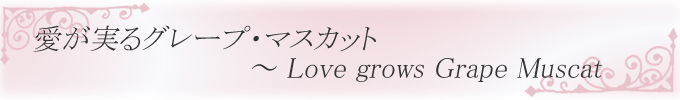 sweet collection@O[vE}XJbg ` Love grows Grape Muscat