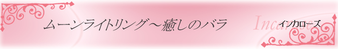 インカローズ　ムーンライトリング〜癒しのバラ